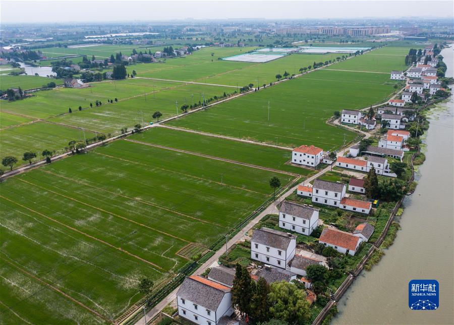 （新華全媒頭條&middot;圖文互動(dòng)）（5）從百年黨史汲取不懈奮斗的力量&mdash;&mdash;與會(huì )同志談黨的十九屆六中全會(huì )精神