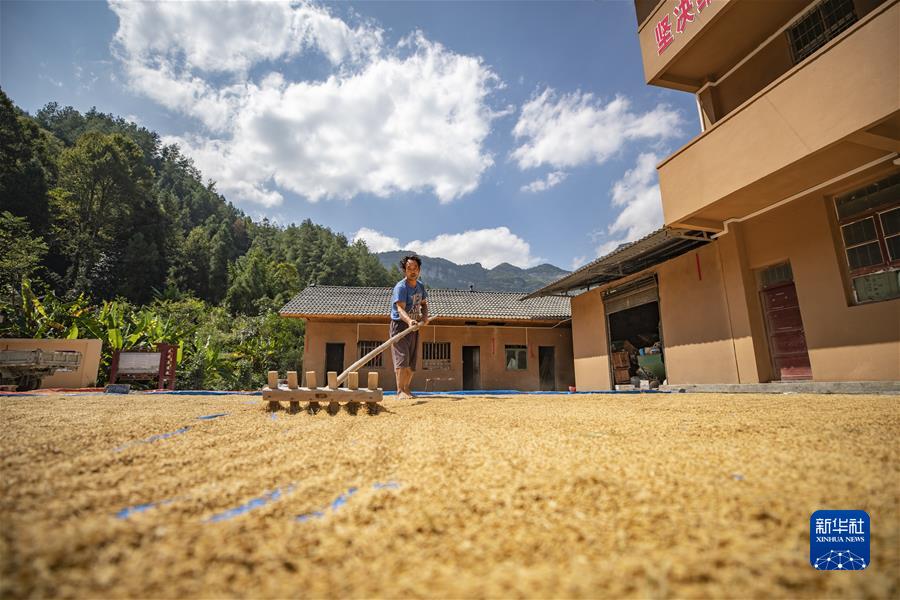 （新華全媒頭條&middot;圖文互動(dòng)）（6）從百年黨史汲取不懈奮斗的力量&mdash;&mdash;與會(huì )同志談黨的十九屆六中全會(huì )精神