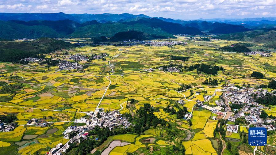 （新華全媒頭條&middot;圖文互動(dòng)）（7）從百年黨史汲取不懈奮斗的力量&mdash;&mdash;與會(huì )同志談黨的十九屆六中全會(huì )精神