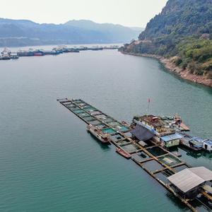 （新華全媒頭條&middot;圖文互動(dòng)）（1）生態(tài)美、產(chǎn)業(yè)興、文化昌&mdash;&mdash;長(cháng)江經(jīng)濟帶生態(tài)優(yōu)先、綠色發(fā)展見(jiàn)聞