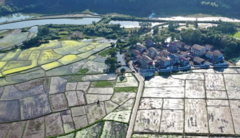 高標準農田備春耕一線(xiàn)觀(guān)察