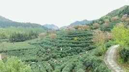 萬(wàn)象&ldquo;耕&rdquo;新！碼住人間四月天