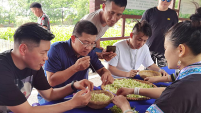 走出島內&ldquo;悶經(jīng)濟&rdquo;困境，&ldquo;登陸&rdquo;成重要選擇