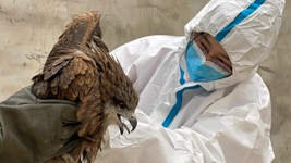 &ldquo;給動(dòng)物一個(gè)溫暖的家，用愛(ài)照亮前行的路&rdquo;