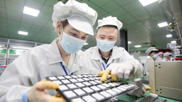 復工復產(chǎn)進(jìn)行時(shí)丨點(diǎn)滴創(chuàng  )新、集群發(fā)展&hellip;&hellip;這些企業(yè)堅定擴產(chǎn)