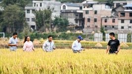 新農人給鄉村振興帶來(lái)哪些新面貌？