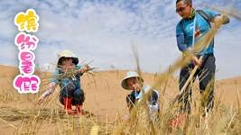 &ldquo;雙減&rdquo;后的第一個(gè)暑假，小朋友們是怎么度過(guò)的？