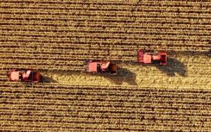 今秋，金秋！