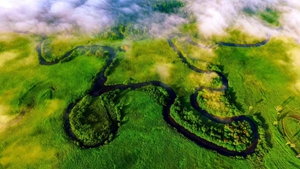 守好最北生態(tài)屏障&mdash;&mdash;黑龍江大興安嶺林區轉型記