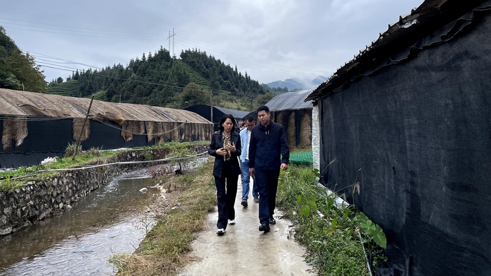 楊遠艷：到群眾中去、講群眾的話(huà)、想群眾的事