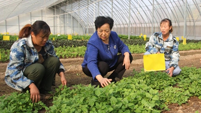 王銀香：農民的事，就是我的事