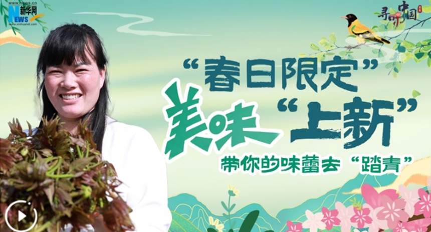 &ldquo;春日限定&rdquo;美味&ldquo;上新&rdquo; 帶你的味蕾去&ldquo;踏青&rdquo;