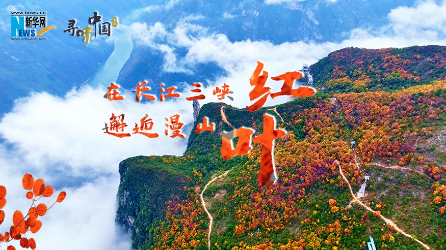 在長(cháng)江三峽邂逅漫山紅葉