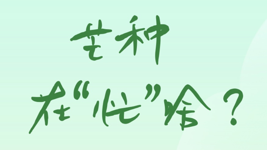 芒種在&ldquo;忙&rdquo;啥？