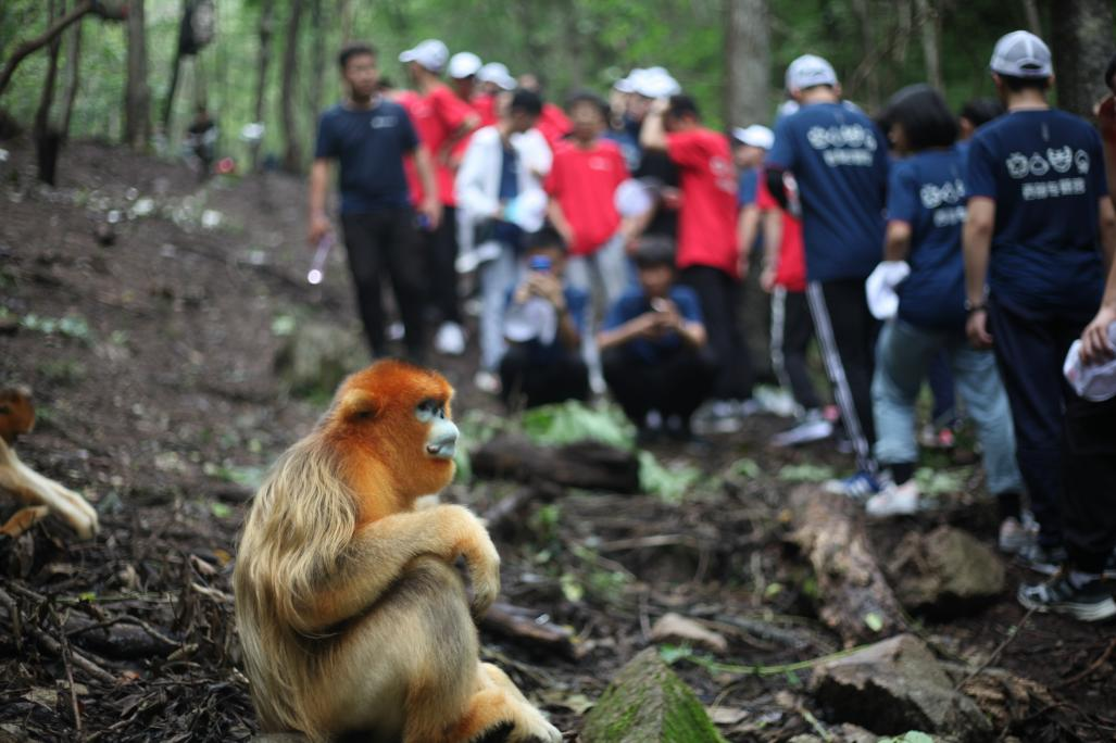 示范性科普研學(xué)活動(dòng)暑期即將開(kāi)展 現啟動(dòng)報名