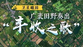 衛星瞰田丨廣袤田野奏出&ldquo;豐收之歌&rdquo;
