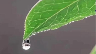 在中國古詩(shī)詞里，尋找北京冬奧的&ldquo;節氣密碼&rdquo;