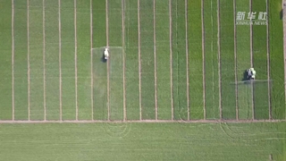 如何讓假劣化肥不再坑農害農？