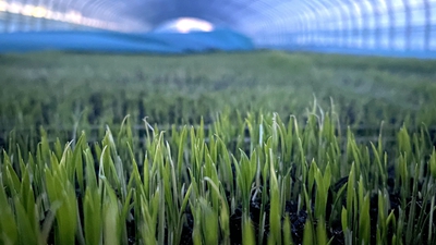 端牢&ldquo;中國飯碗&rdquo;，&ldquo;北大倉&rdquo;想這么干