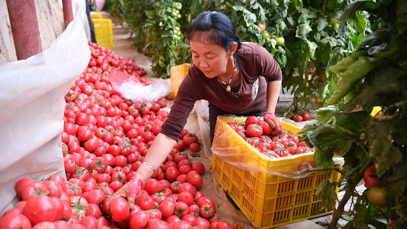春天里，我們一起譜寫(xiě)振興新歌