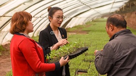 青春，在一線(xiàn)綻放芳華&mdash;&mdash;&ldquo;最美基層高校畢業(yè)生&rdquo;速寫(xiě)