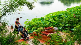 告別大拆大建，老城煥發(fā)新生&mdash;&mdash;北京老城正在發(fā)生的變遷