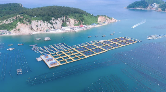 &ldquo;向海圖強&rdquo;：遼寧大連著(zhù)力做好海洋經(jīng)濟文章