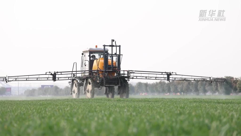 安徽阜陽(yáng)：讓&ldquo;糧田&rdquo;變良田