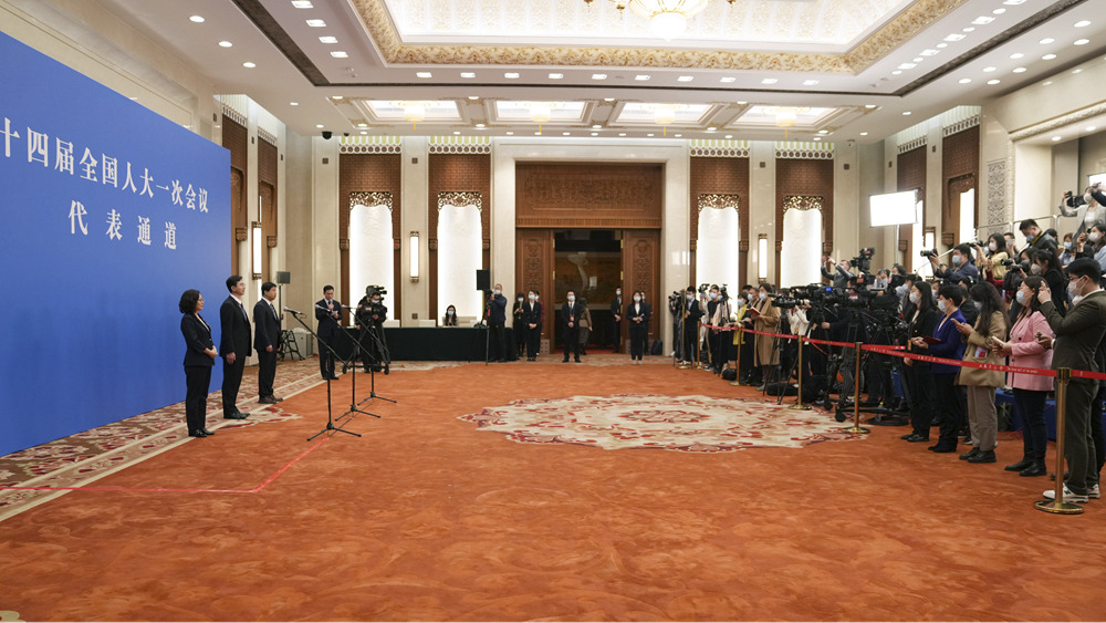 十四屆全國人大一次會(huì )議第二場(chǎng)&ldquo;代表通道&rdquo;