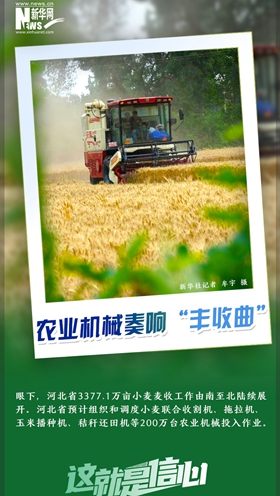 這就是信心｜好一派豐收景象！