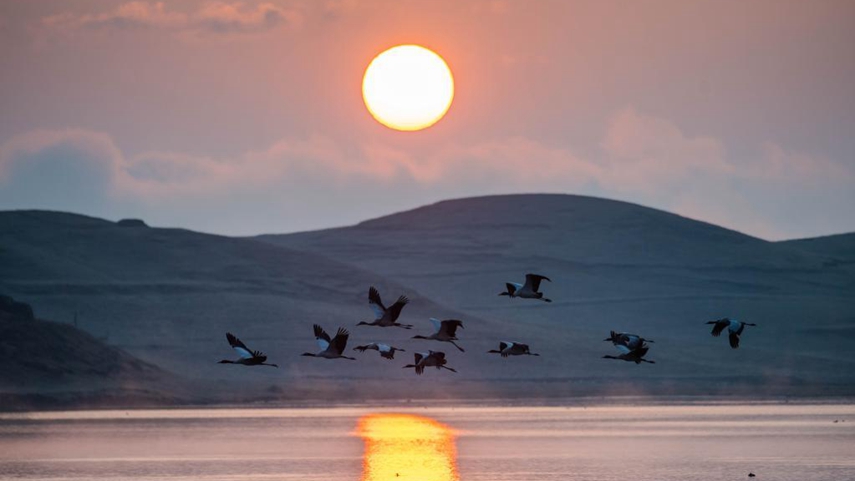 相約春城昆明 共商全球大計&mdash;&mdash;COP15籌備工作進(jìn)入沖刺階段