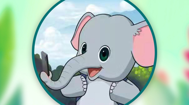 &ldquo;萌萌象&rdquo;在哀牢山結下了不解之&ldquo;猿&rdquo;