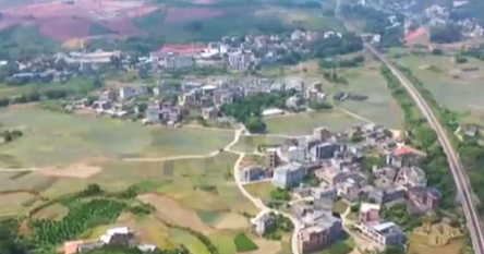 自然資源部：從嚴查處各類(lèi)違法占用耕地行為